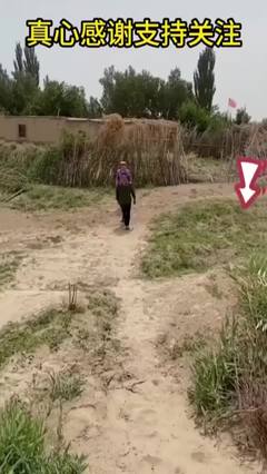 今日带大家体验第一视角摘橘子的快乐