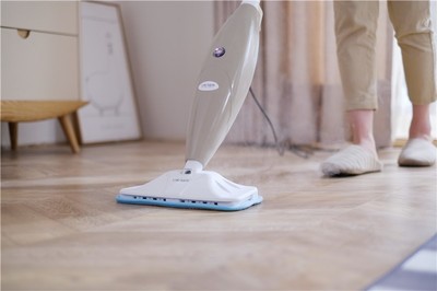 让宝宝快乐玩耍,守护家人健康,蒸汽拖把什么牌子好?