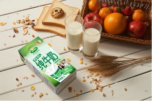 北欧生活方式让您更懂得享受生活